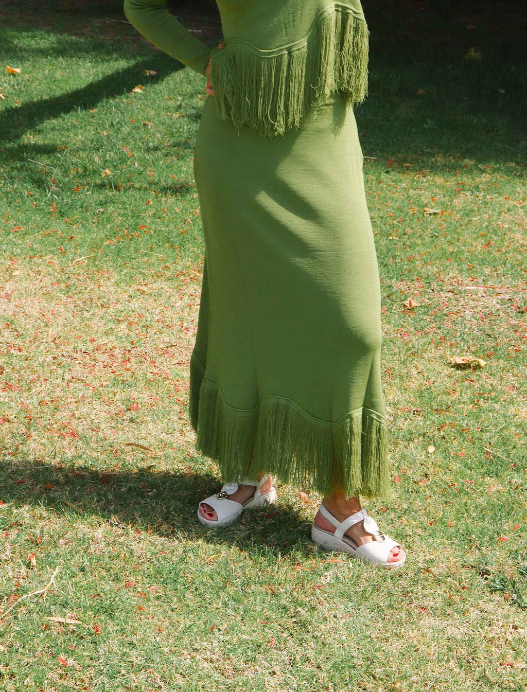 Saia Dakota